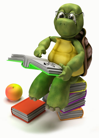 Turtle Reading